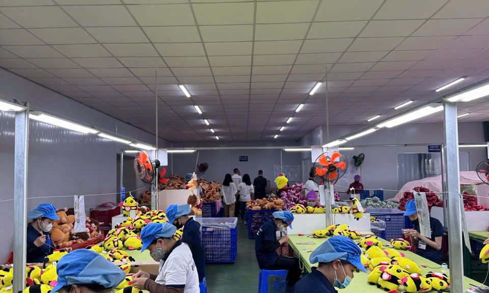 Đóng gói & hoàn thiện